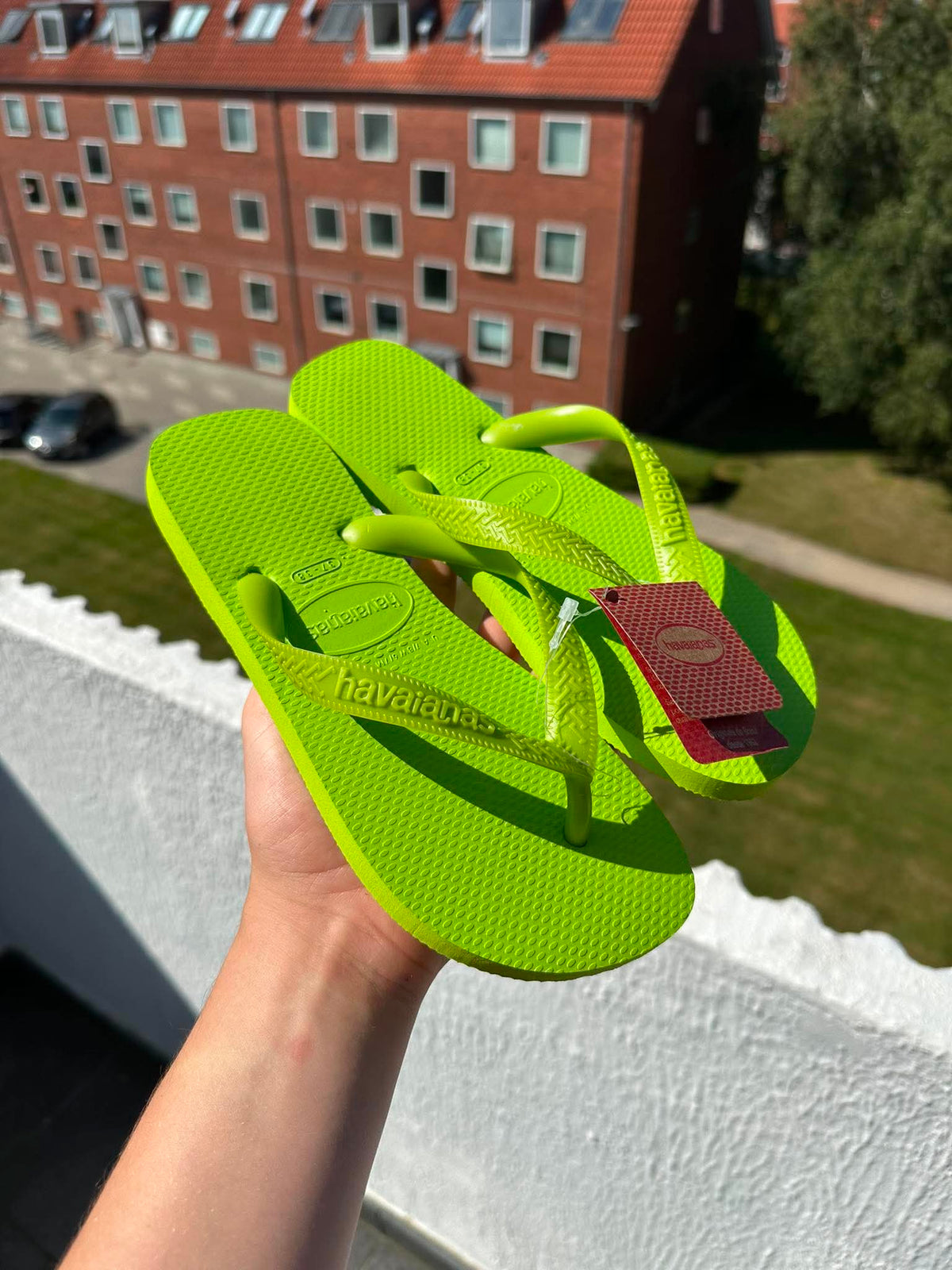 Havainas "Lime"
