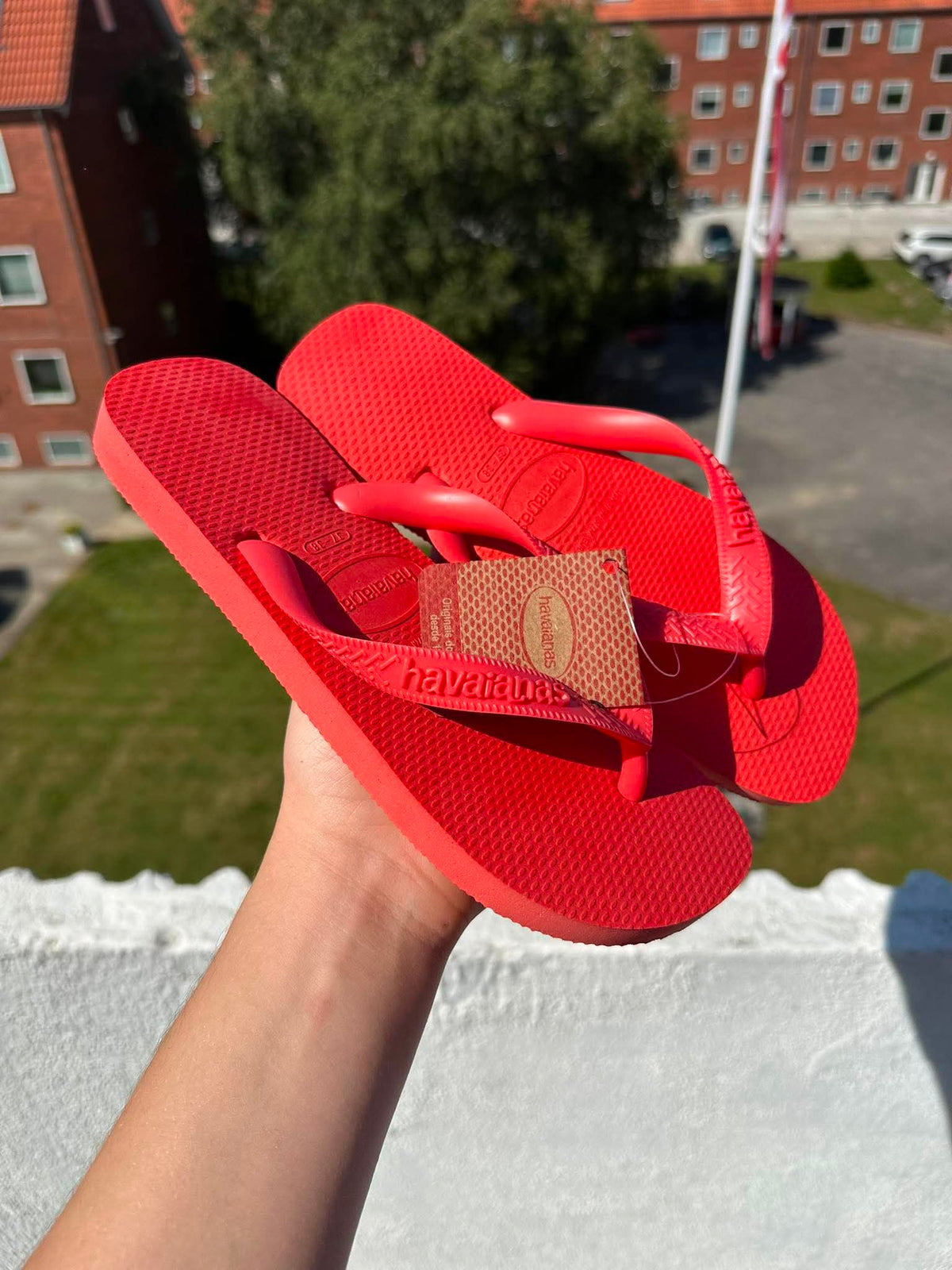Havaianas "Koral"
