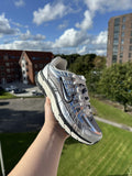 Nike P-6000 "Metallic Silver"
